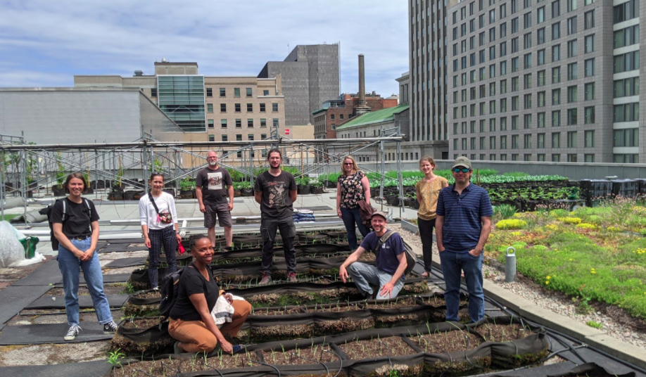 Greenhouses in Disadvantaged Urban Areas