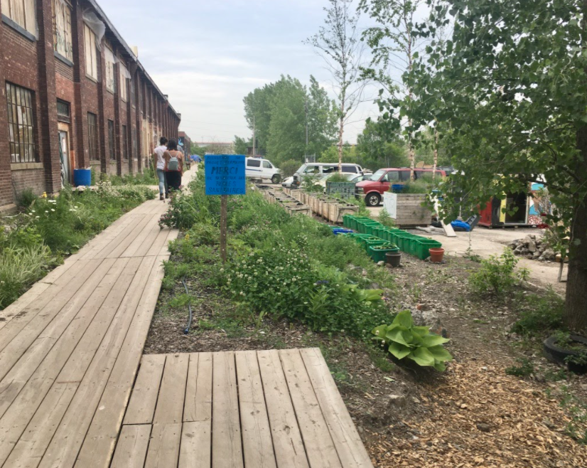 Blue-green alleys